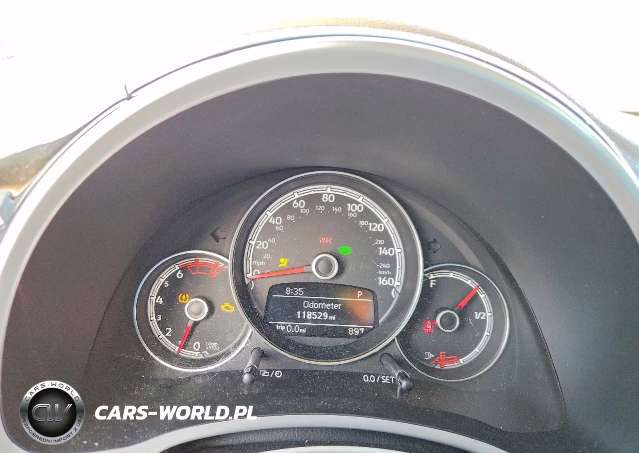 VOLKSWAGEN BEETLE VIN:3VWJ17AT9HM618202 - 9