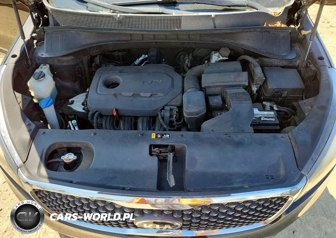 2016 Kia Sorento Lx VIN:5XYPG4A3XGG091146 - 12