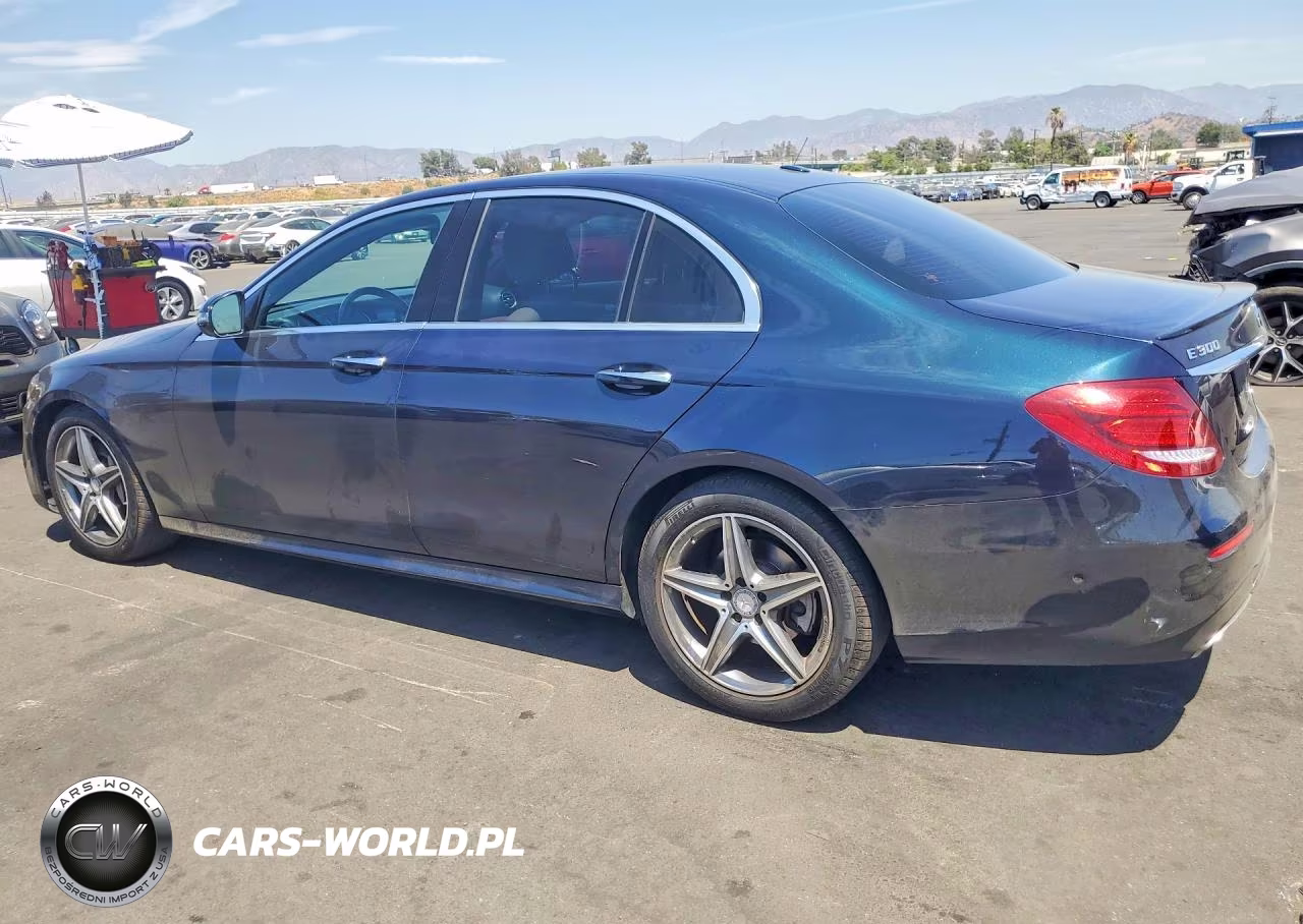 2017 Mercedes-Benz E 300 VIN:WDDZF4JB8HA121576 - 2