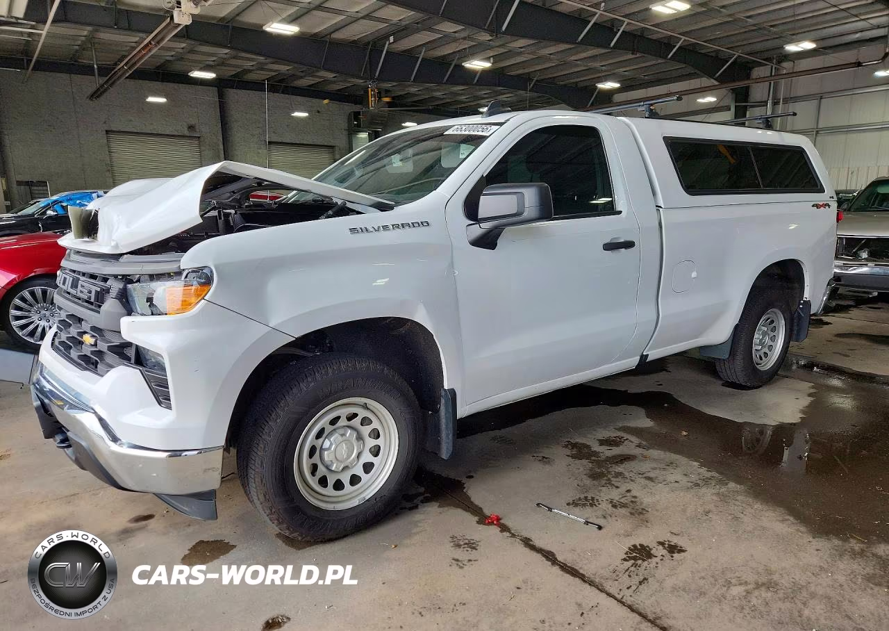 2022 Chevrolet Silverado K1500 VIN:3GCNDAEK7NG503067 - 1