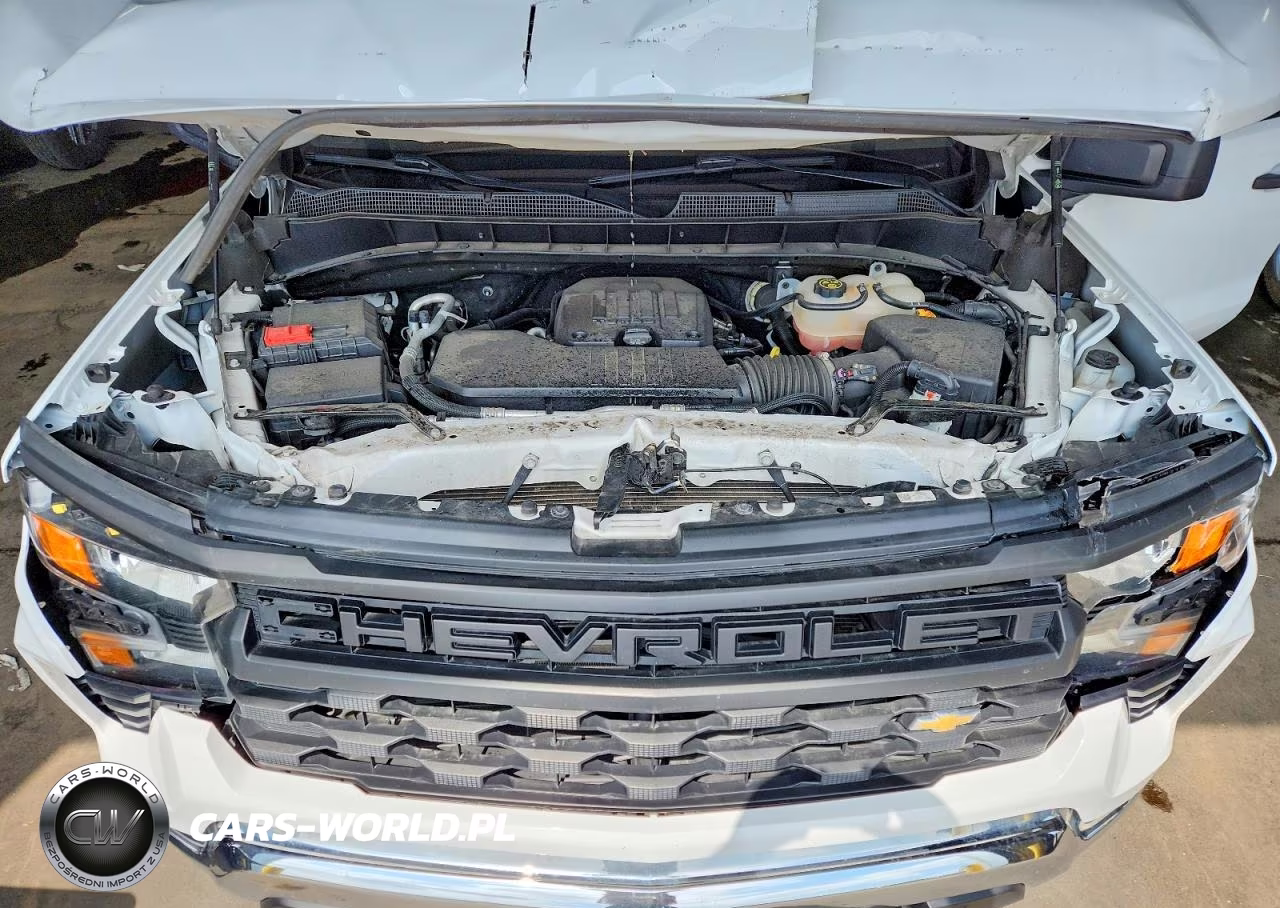 2022 Chevrolet Silverado K1500 VIN:3GCNDAEK7NG503067 - 11
