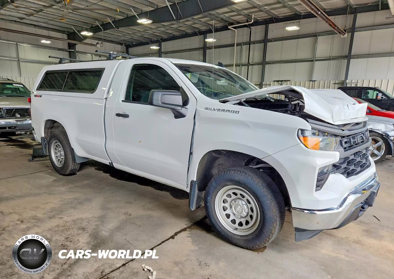 2022 Chevrolet Silverado K1500 VIN:3GCNDAEK7NG503067 - 4