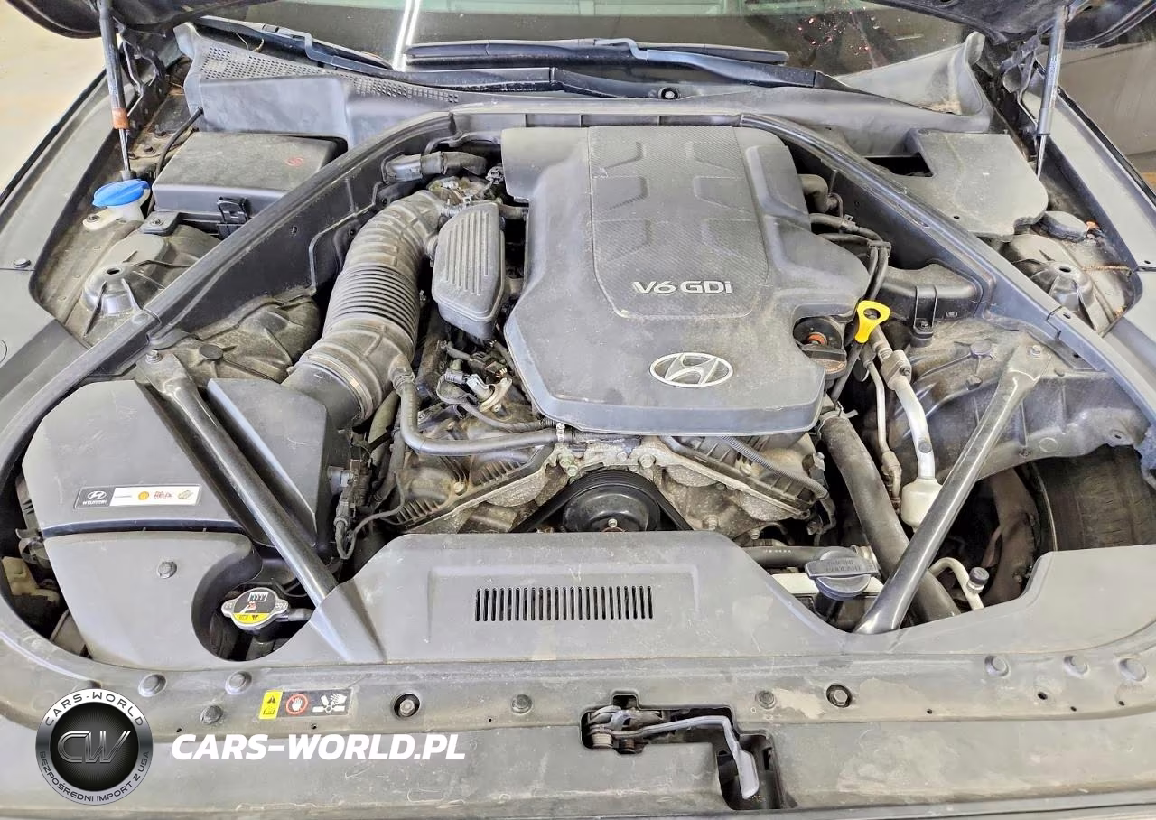 2015 Hyundai Genesis 3.8L VIN:KMHGN4JE8FU027817 - 11