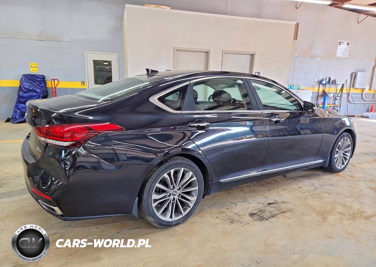 2015 Hyundai Genesis 3.8L VIN:KMHGN4JE8FU027817 - 3
