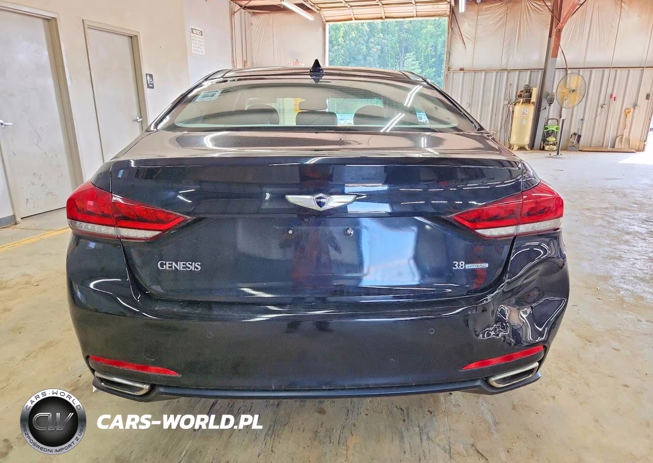 2015 Hyundai Genesis 3.8L VIN:KMHGN4JE8FU027817 - 6