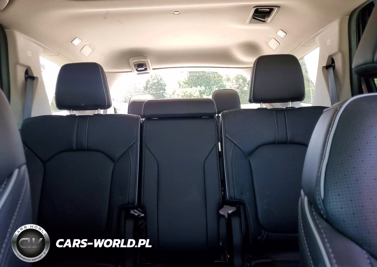 2025 Honda Pilot Elite VIN:5FNYG1H84SB133699 - 10