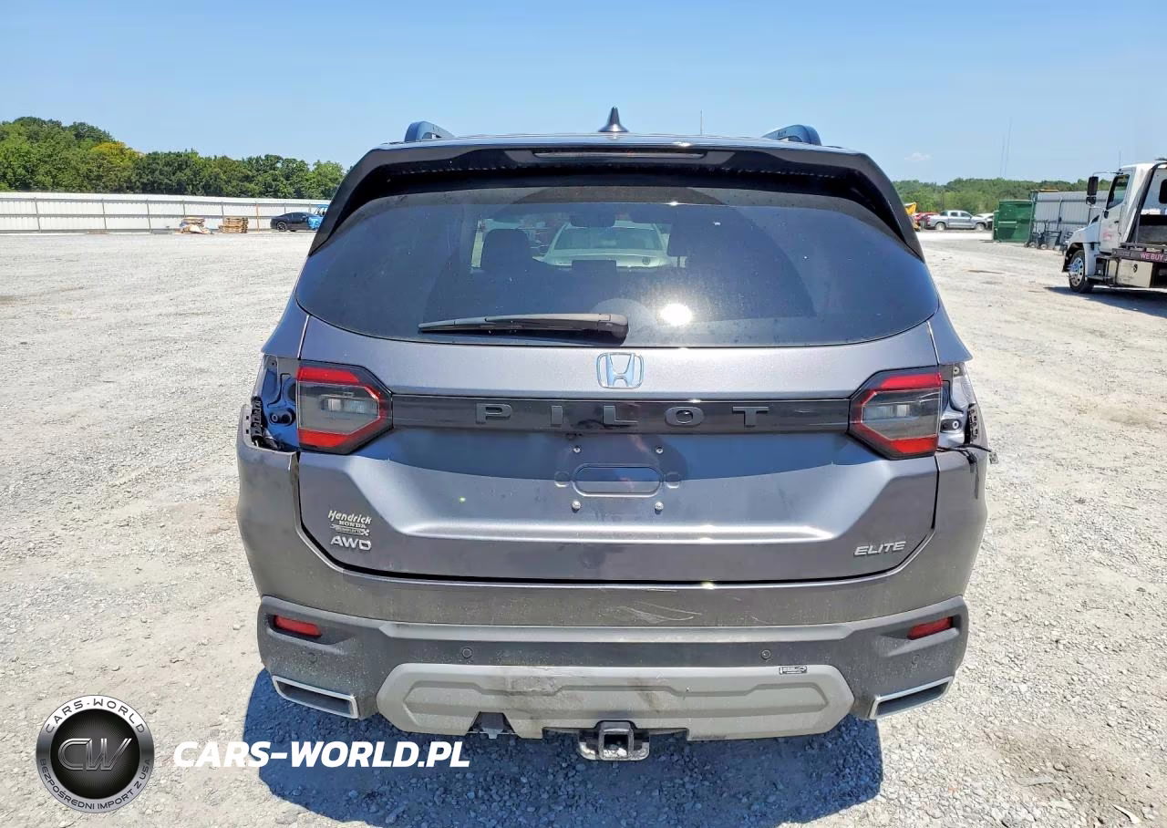 2025 Honda Pilot Elite VIN:5FNYG1H84SB133699 - 6