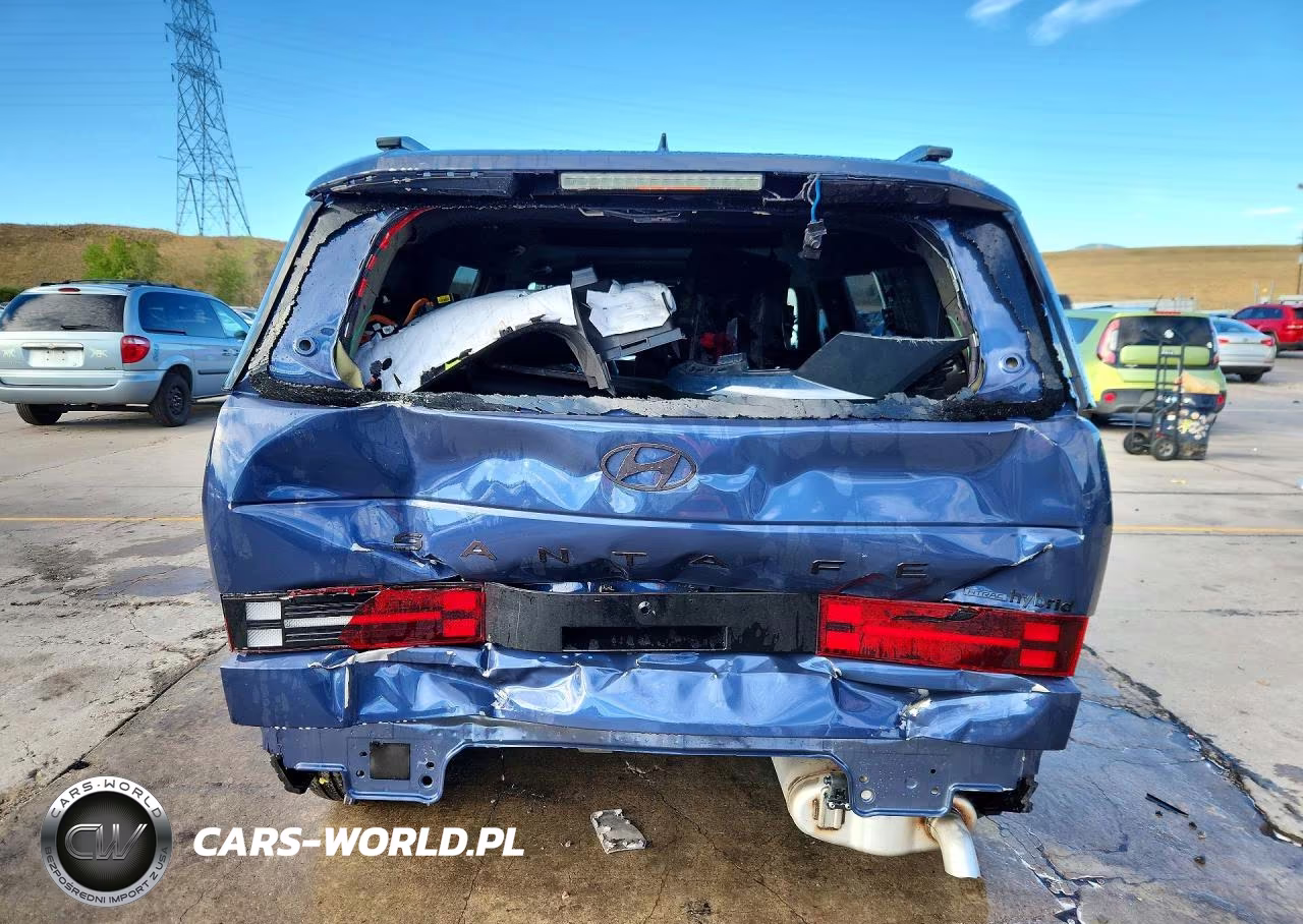 2026 Hyundai Santa Fe Calligraphy VIN:5NMP5DG18TH075748 - 6