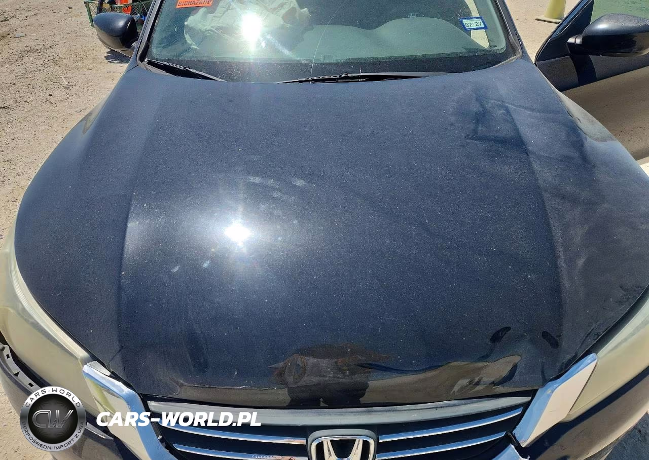 2013 Honda Accord Lx VIN:1HGCR2F39DA091738 - 11