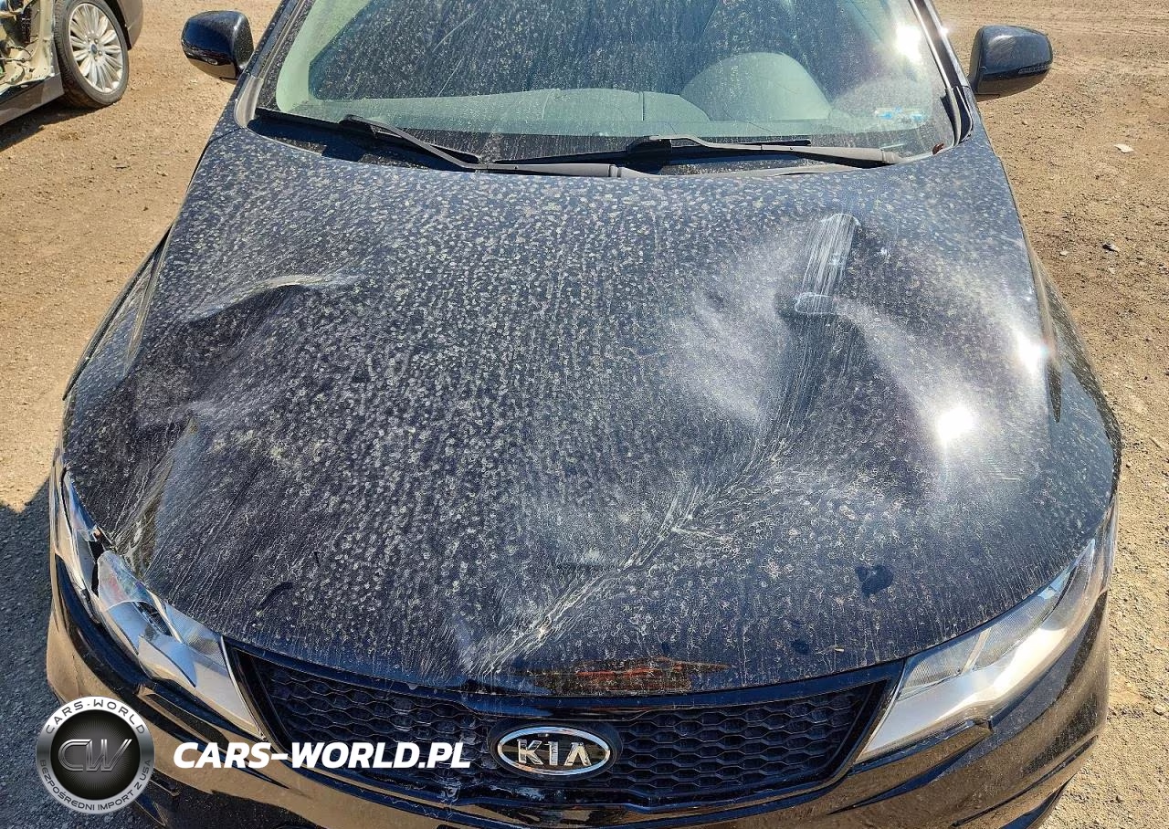 2013 Kia Forte Koup Sx VIN:KNAFW6A39D5658426 - 11