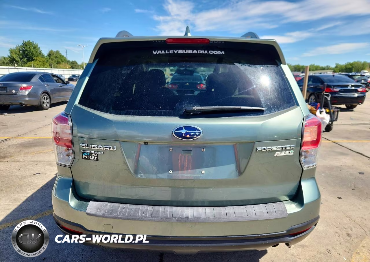 2017 Subaru Forester 2.5I Premium VIN:JF2SJAEC4HH570323 - 6