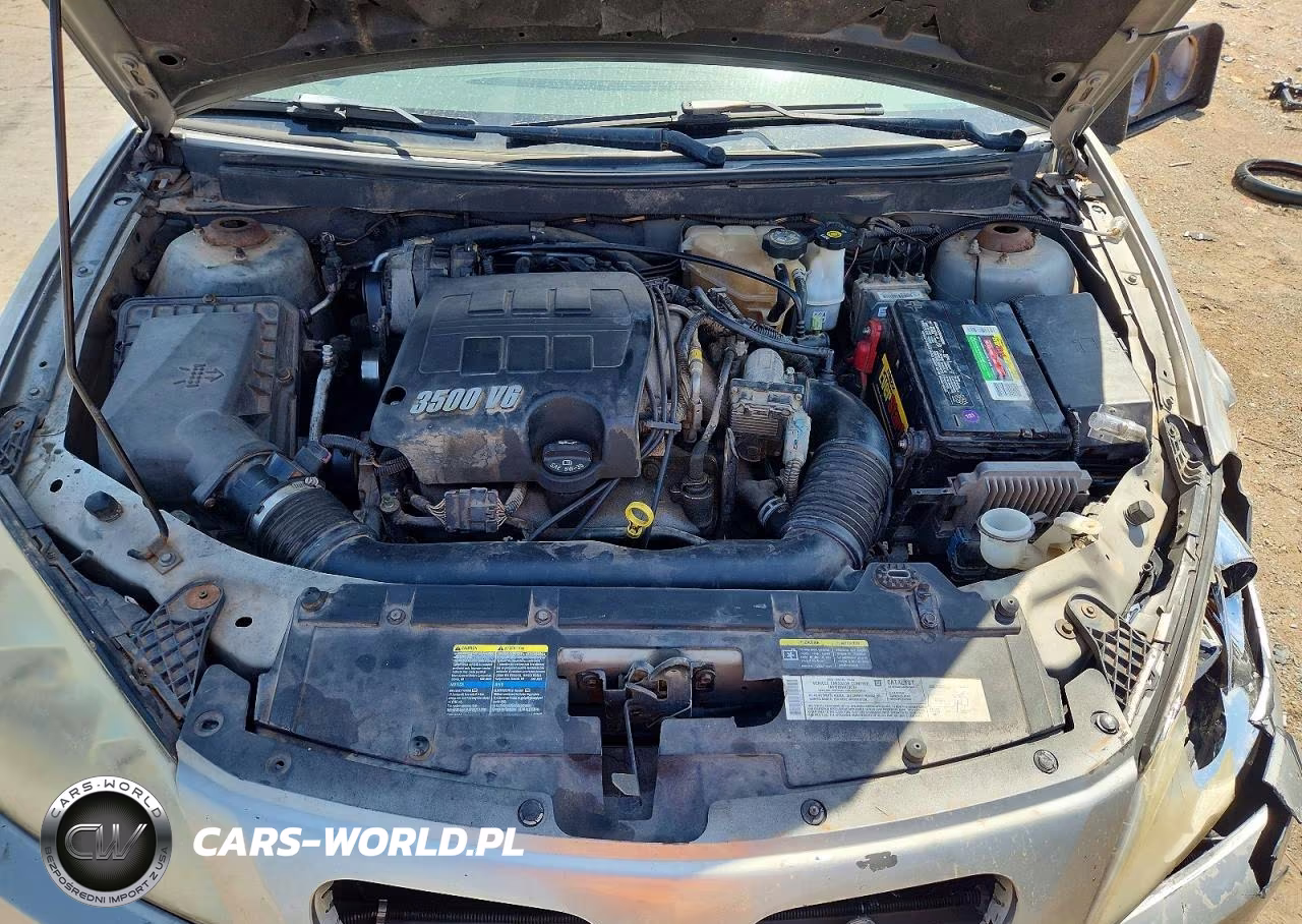 2005 Pontiac G6 VIN:1G2ZG528254125217 - 11