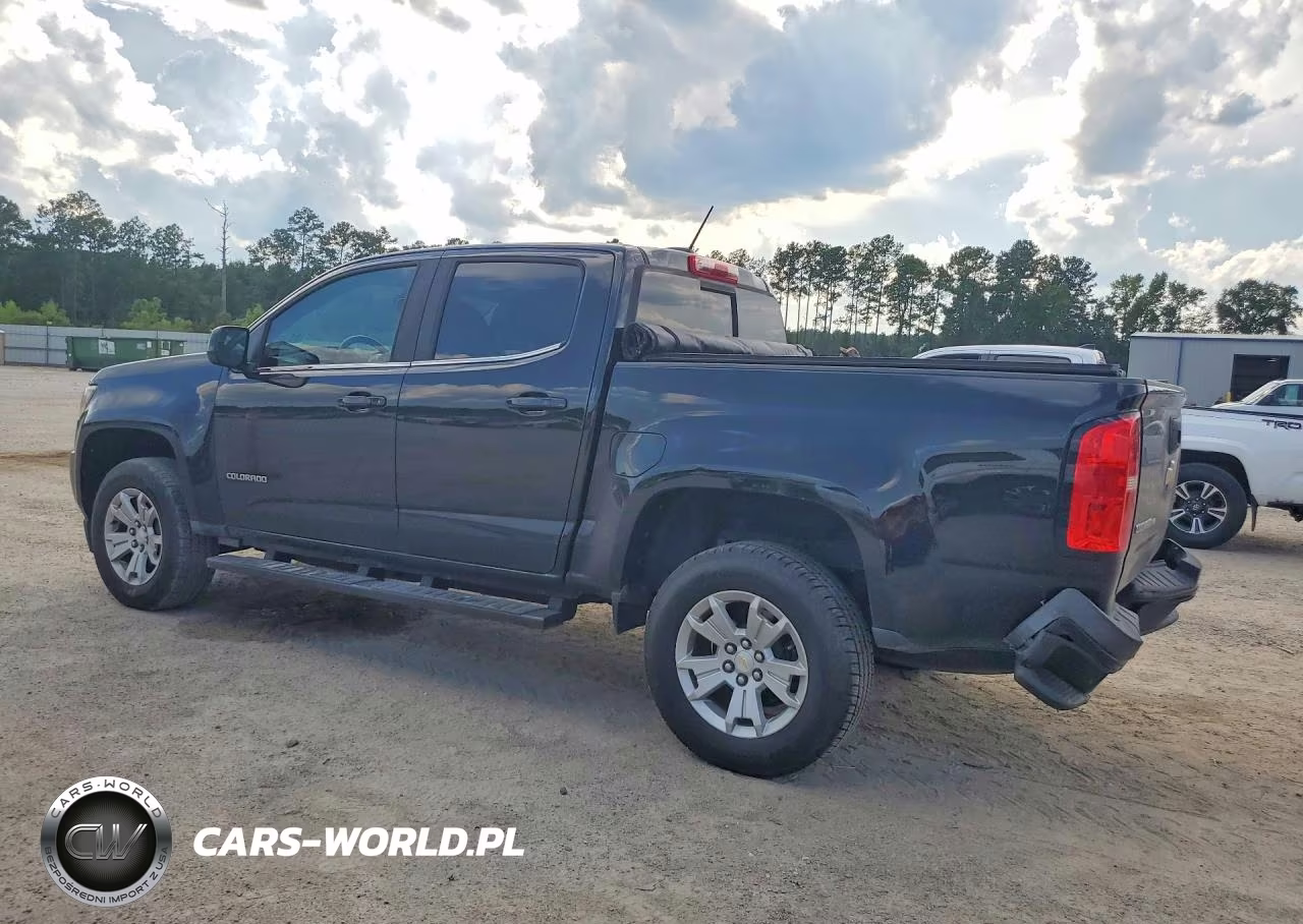 2019 Chevrolet Colorado Lt VIN:1GCGSCENXK1175464 - 2