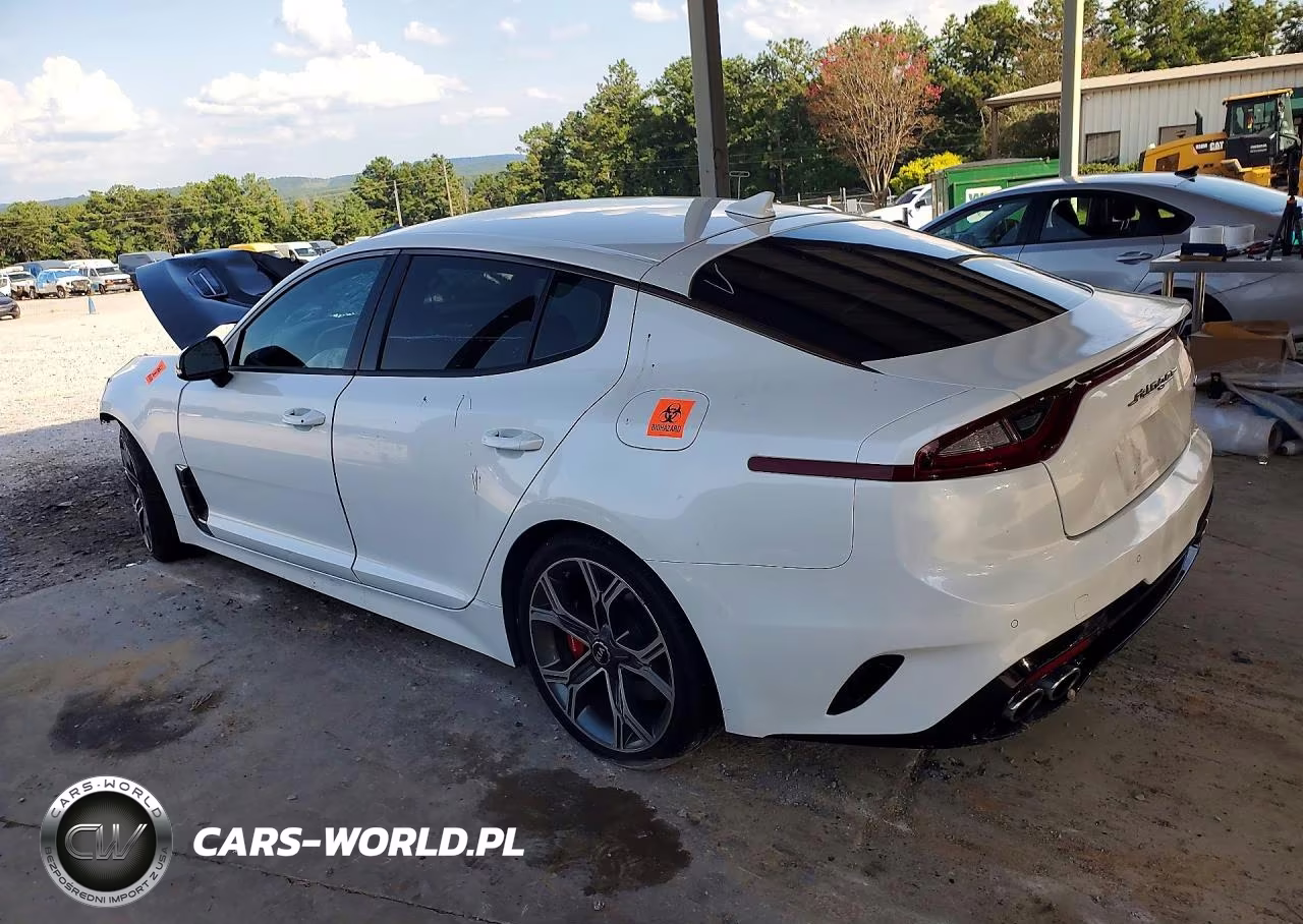 2020 Kia Stinger Gt VIN:KNAE35LC1L6073716 - 2