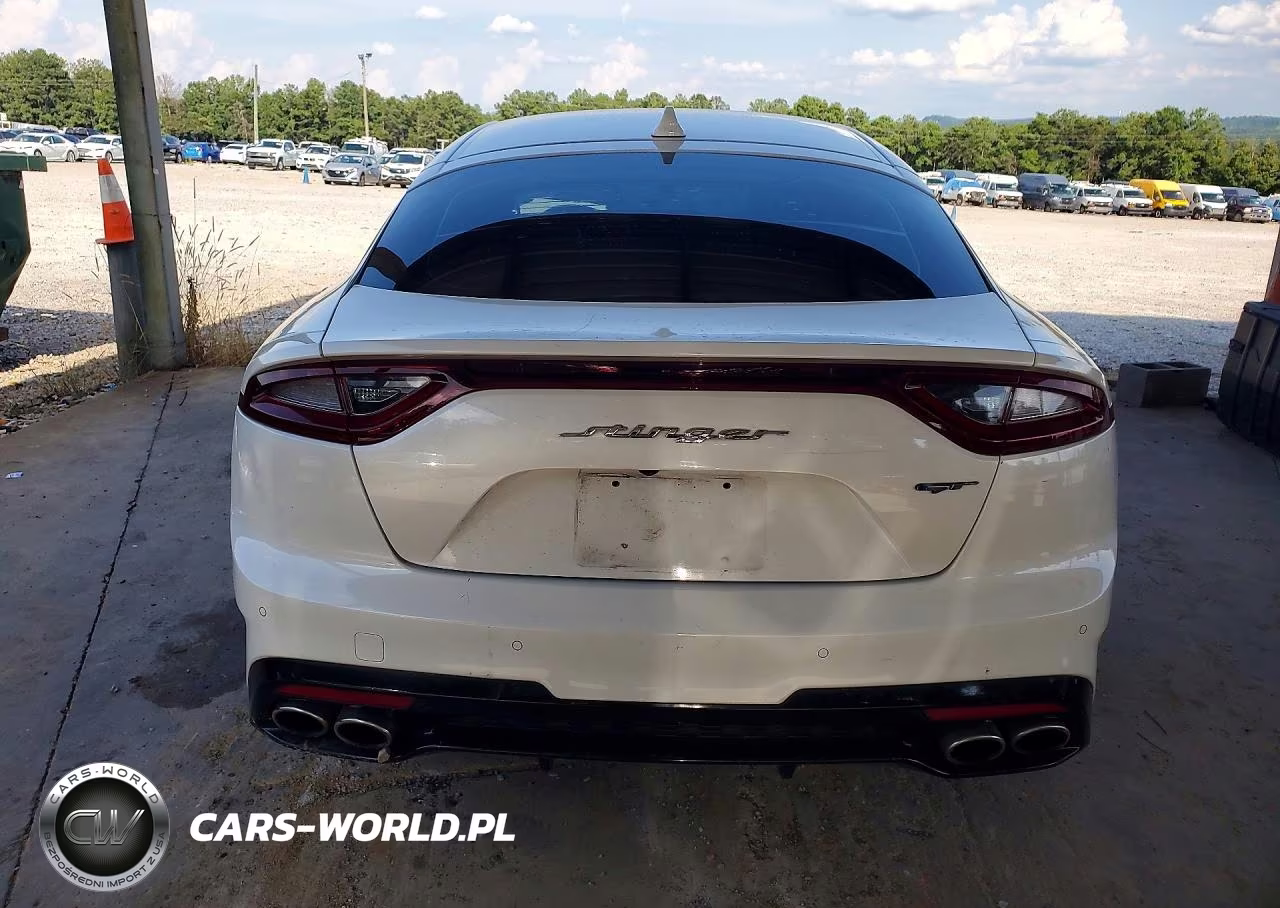 2020 Kia Stinger Gt VIN:KNAE35LC1L6073716 - 6