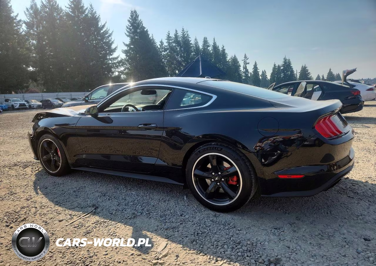 2019 Ford Mustang Bullitt VIN:1FA6P8K02K5506555 - 2