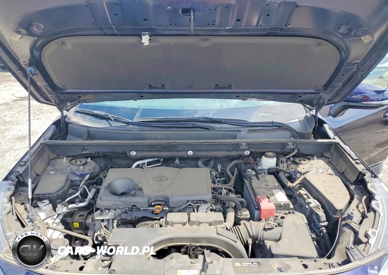 2021 Toyota Rav4 Xle VIN:2T3W1RFV4MW119735 - 12