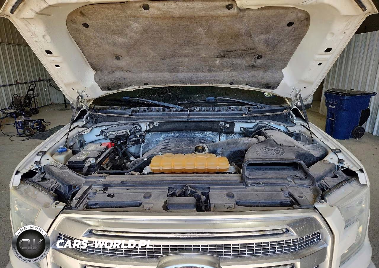 2015 Ford F150 Supercrew VIN:1FTEW1EG0FFC92853 - 11