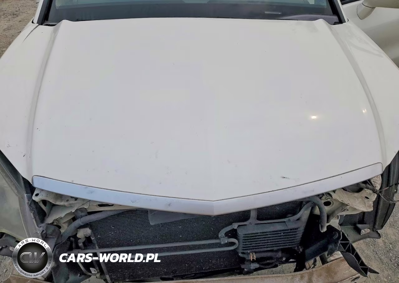 2009 Acura Rdx Technology VIN:5J8TB18549A001738 - 12