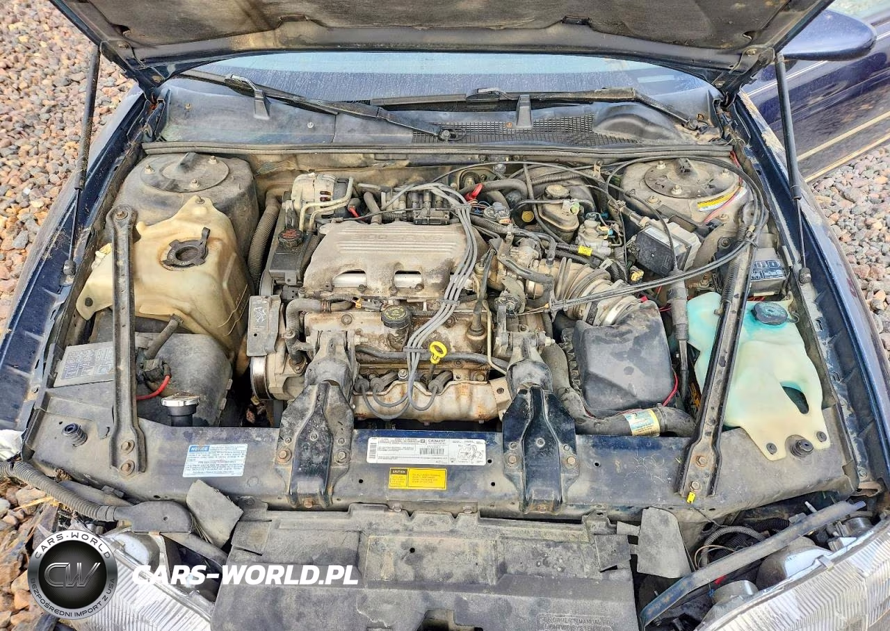 1998 Chevrolet Monte Carlo Ls VIN:2G1WW12M7W9137314 - 11