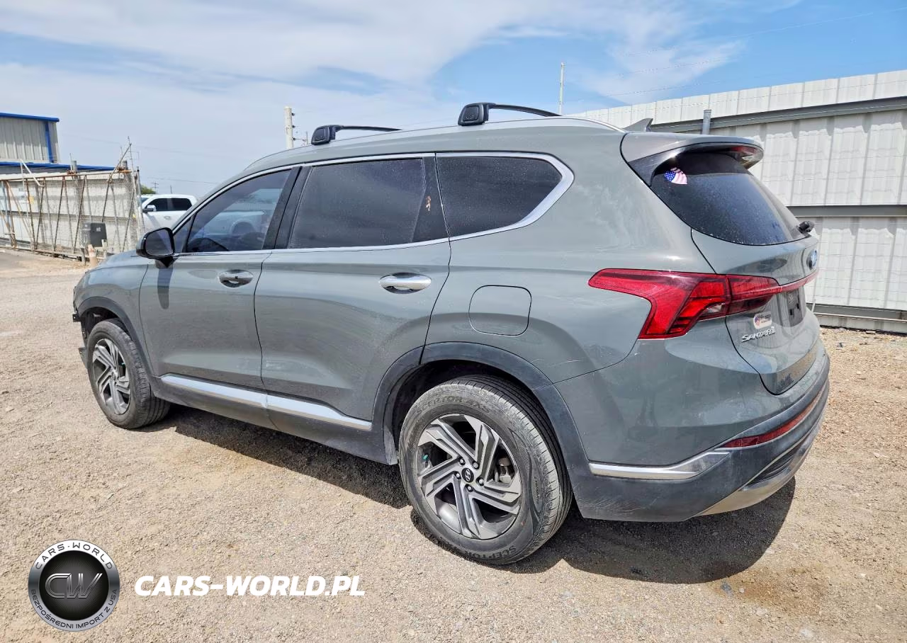 2021 Hyundai Santa Fe Sel VIN:5NMS24AJXMH316206 - 2