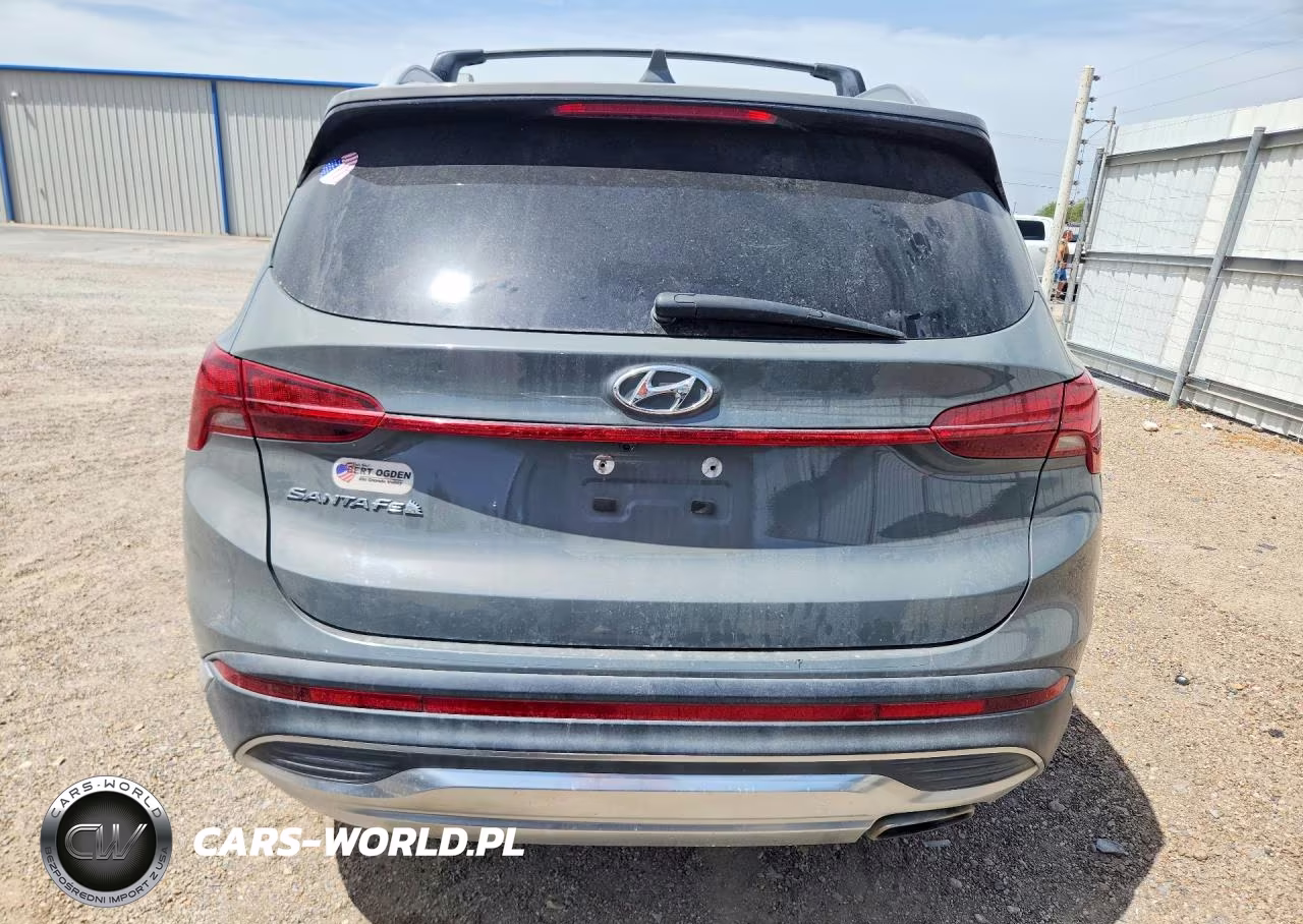 2021 Hyundai Santa Fe Sel VIN:5NMS24AJXMH316206 - 6