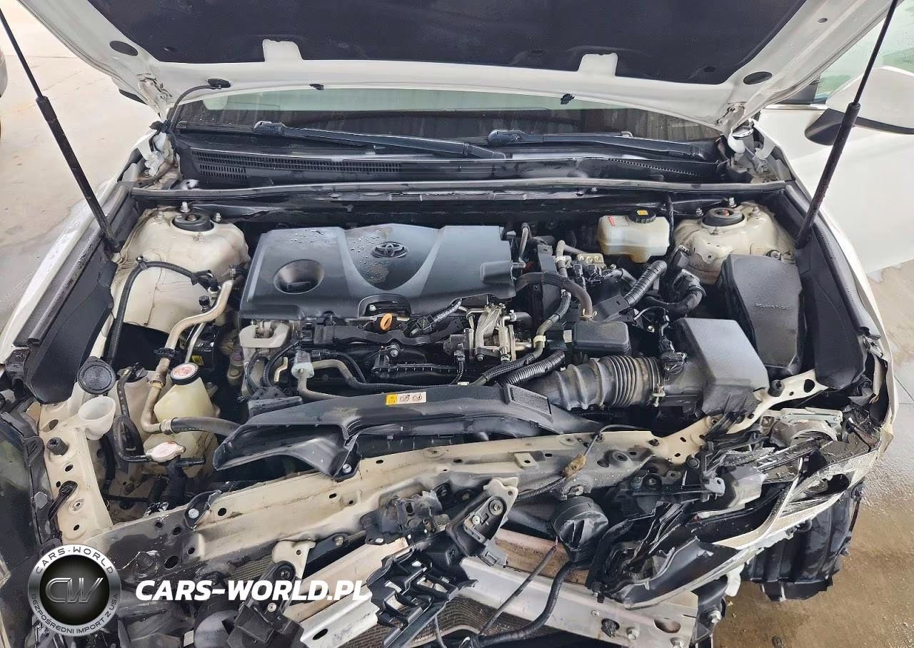 2019 Toyota Camry Le VIN:4T1B31HK1KU508772 - 11