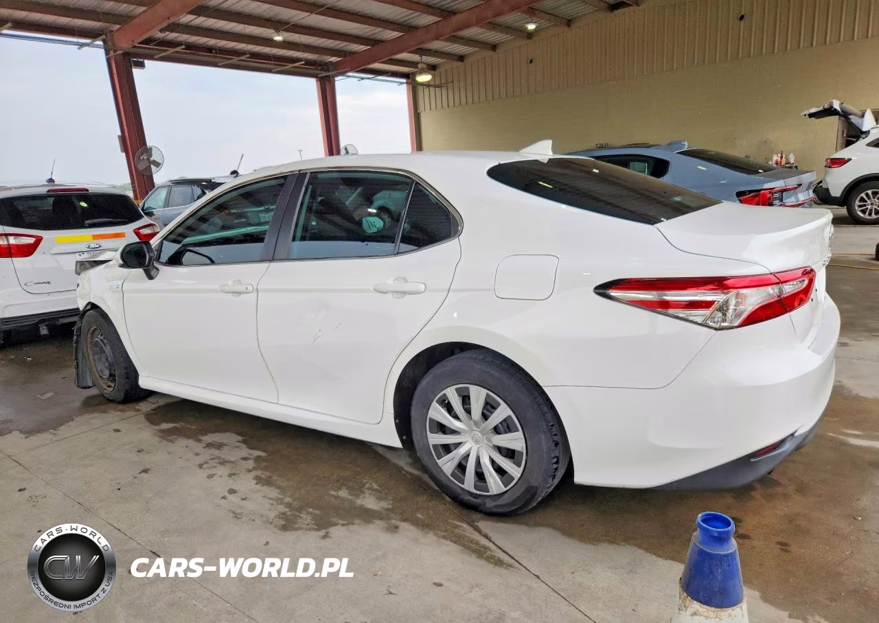 2019 Toyota Camry Le VIN:4T1B31HK1KU508772 - 2