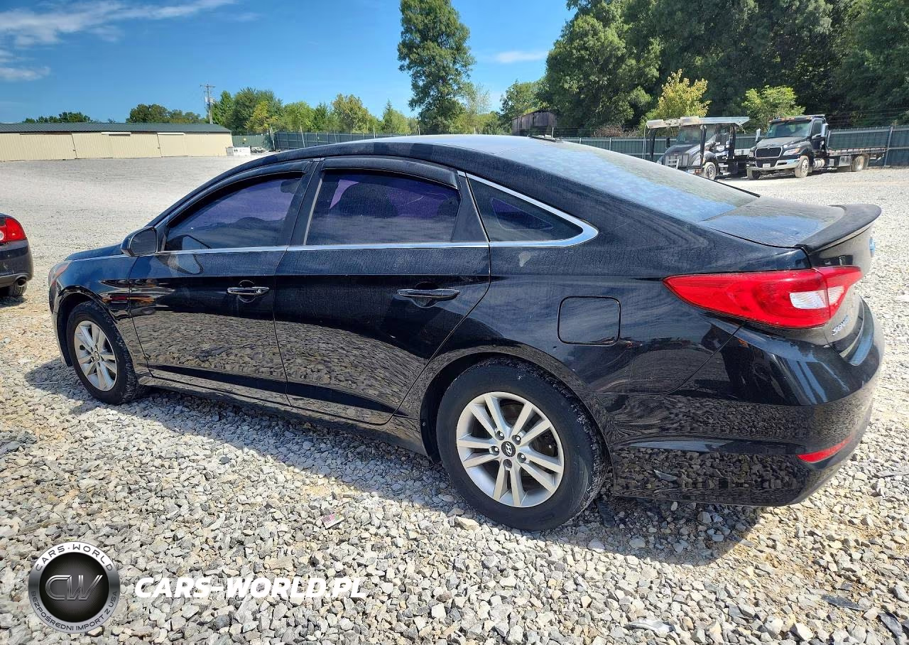 2016 Hyundai Sonata Se VIN:5NPE24AF8GH338981 - 2