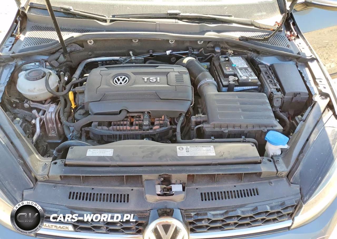 2019 Volkswagen Golf Alltrack S VIN:3VWM17AU5KM520460 - 11