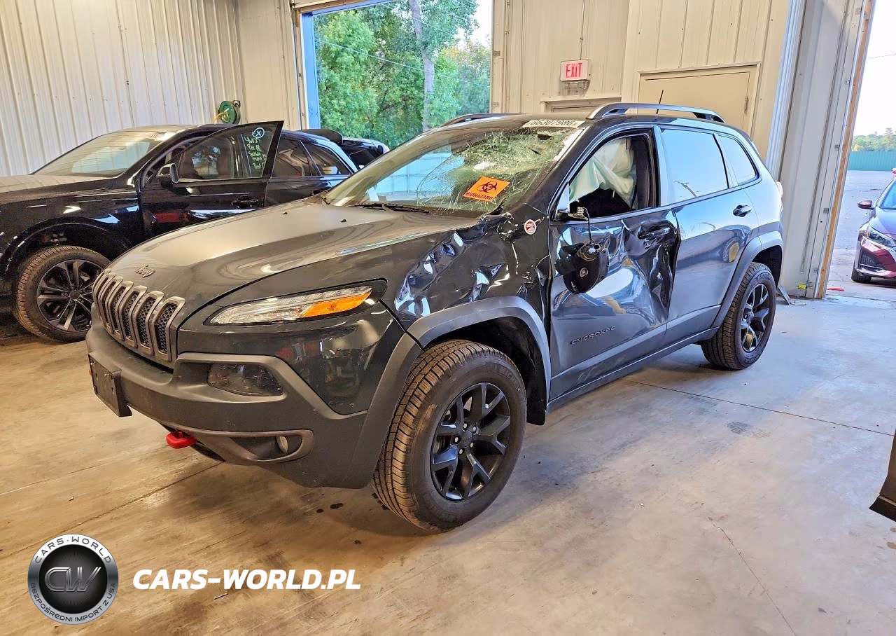 2017 Jeep Cherokee Trailhawk VIN:1C4PJMBB0HW554956 - 1