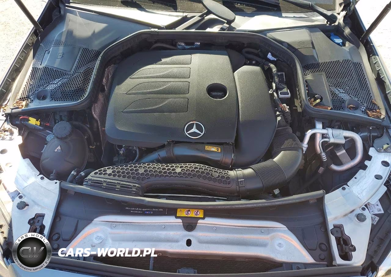 2019 Mercedes-Benz C 300 VIN:55SWF8DB9KU318852 - 11