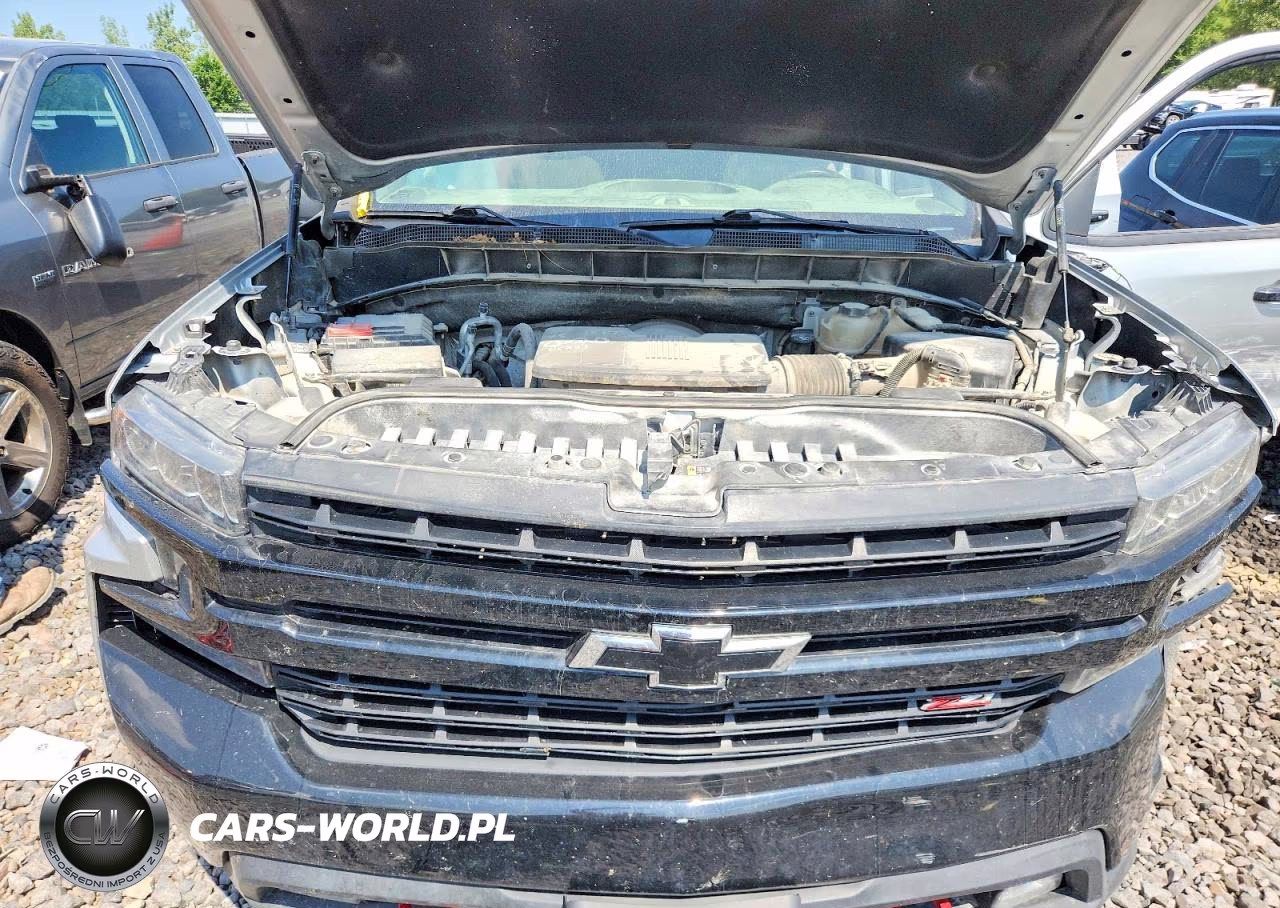 2019 Chevrolet Silverado K1500 Lt Trail Boss VIN:3GCPYFED1KG208487 - 11