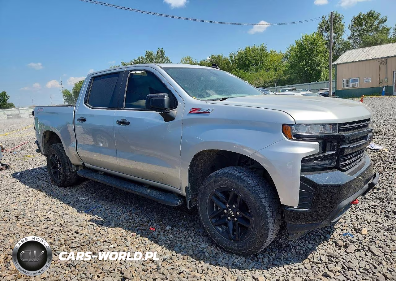 2019 Chevrolet Silverado K1500 Lt Trail Boss VIN:3GCPYFED1KG208487 - 4