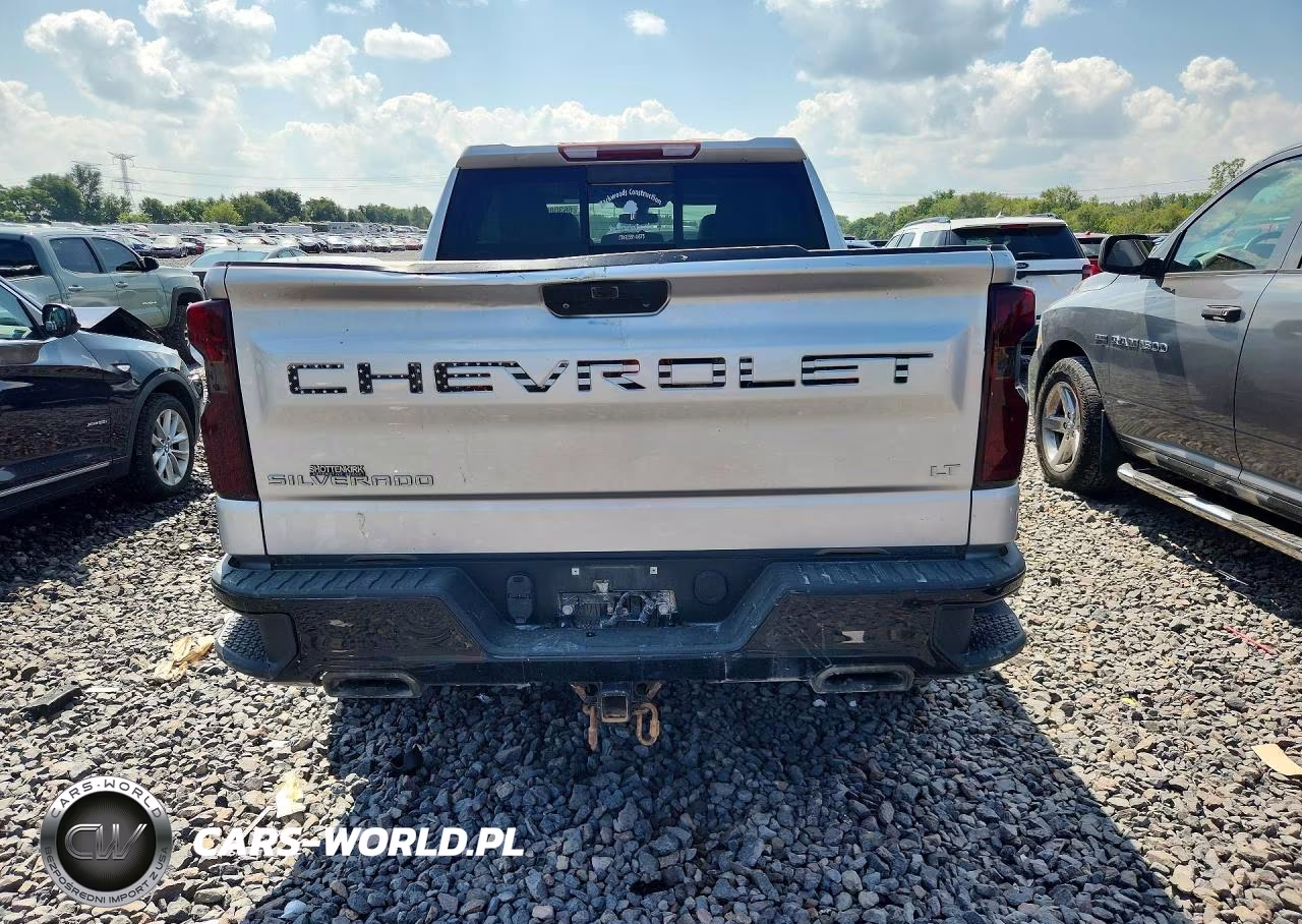 2019 Chevrolet Silverado K1500 Lt Trail Boss VIN:3GCPYFED1KG208487 - 6