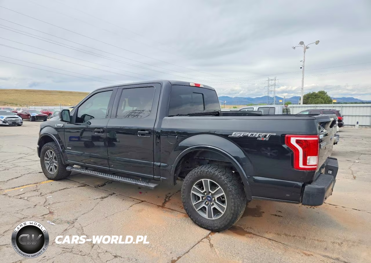 2016 Ford F150 Supercrew VIN:1FTEW1EG6GKF99677 - 2