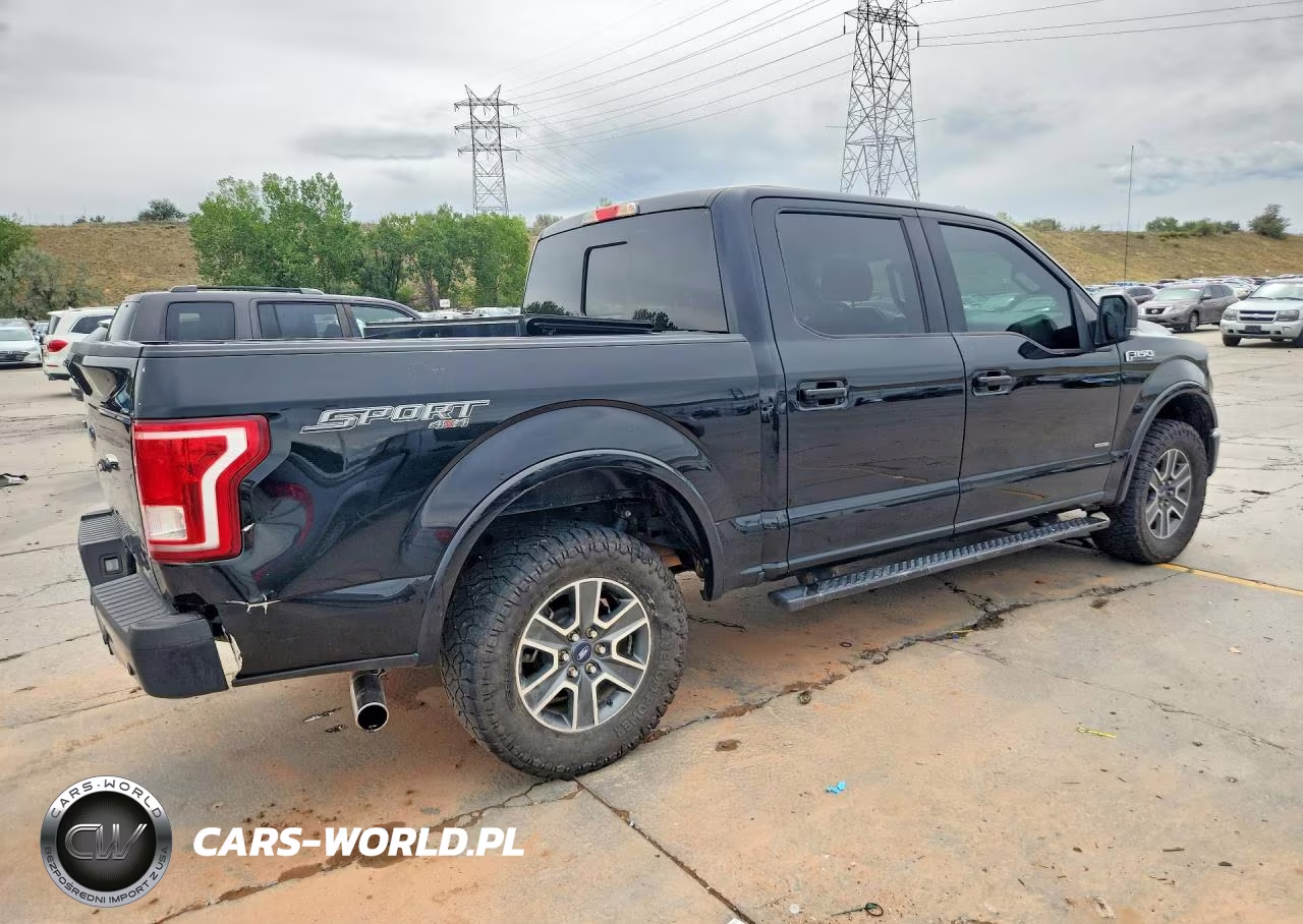 2016 Ford F150 Supercrew VIN:1FTEW1EG6GKF99677 - 3