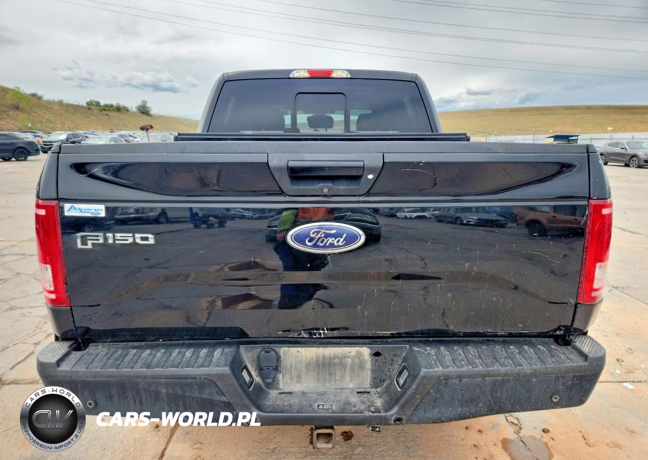 2016 Ford F150 Supercrew VIN:1FTEW1EG6GKF99677 - 6
