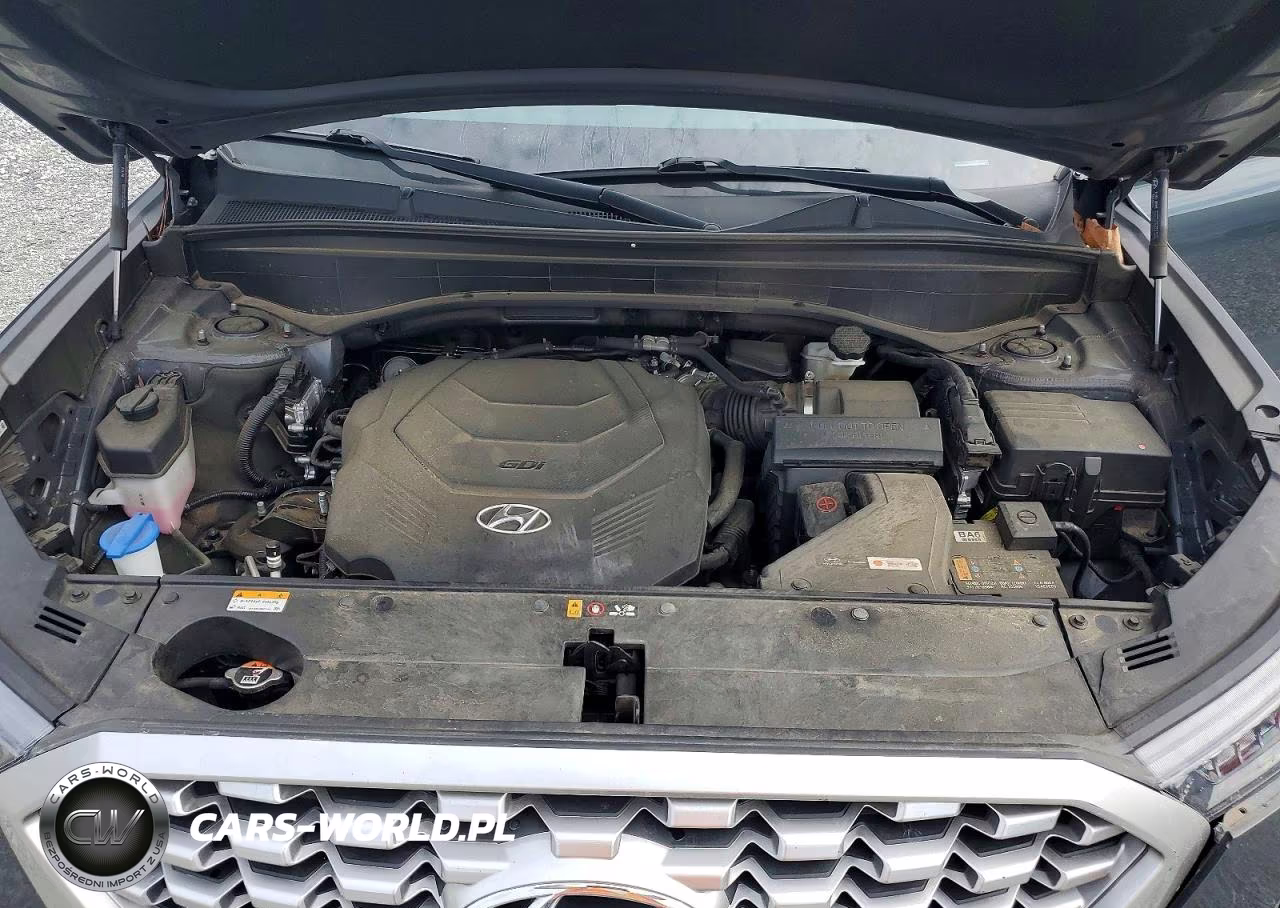 2022 Hyundai Palisade Sel VIN:KM8R4DHE0NU418265 - 12