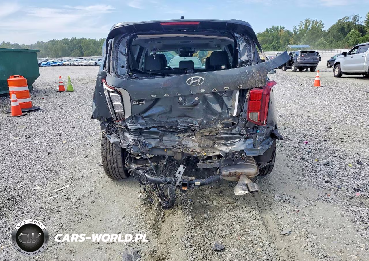 2022 Hyundai Palisade Sel VIN:KM8R4DHE0NU418265 - 6