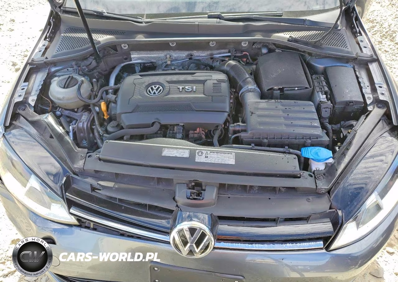 2015 Volkswagen Golf VIN:3VW217AU0FM076904 - 11