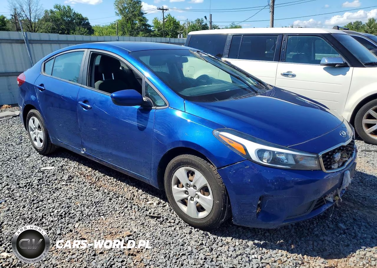 2018 Kia Forte Lx VIN:3KPFL4A76JE262876 - 4