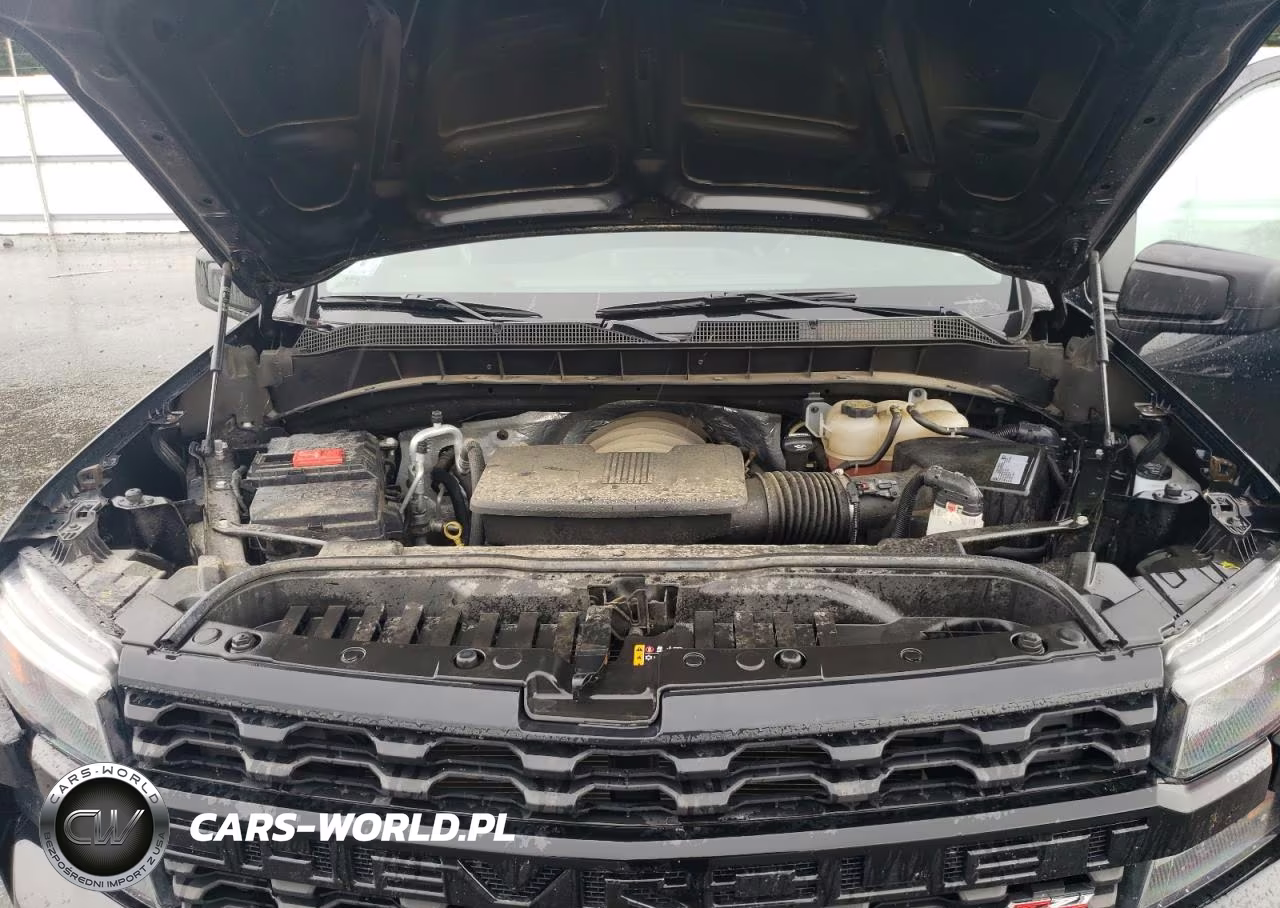 2020 Chevrolet Silverado K1500 Trail Boss Custom VIN:1GCPYCEF0LZ122167 - 11