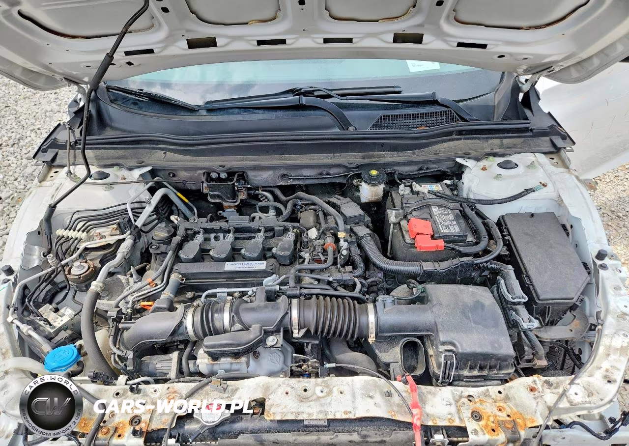 2019 Honda Accord Lx VIN:1HGCV1F16KA099944 - 11
