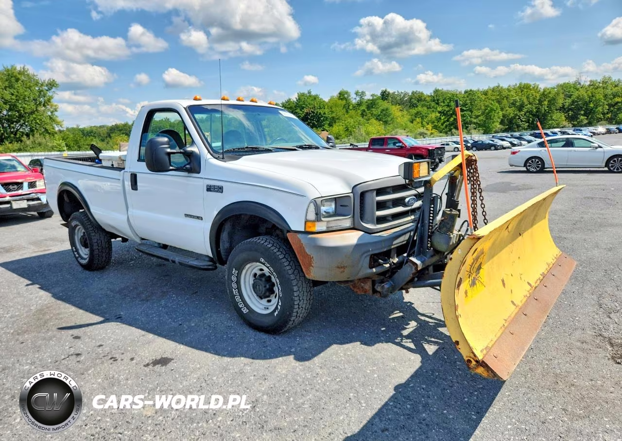 2002 Ford F350 Srw Super Duty VIN:1FTSF31F92EA70274 - 4