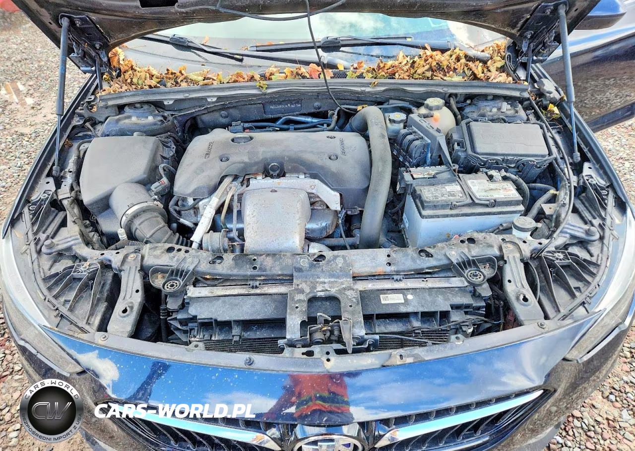2019 Buick Regal Tourx Preferred VIN:W04GU8SX1K1014718 - 11