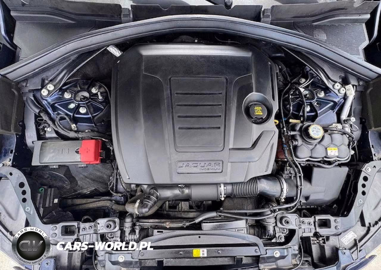 2020 Jaguar F-Pace Premium VIN:SADCJ2FX8LA619250 - 14