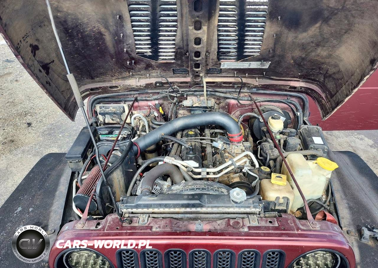 2002 Jeep Wrangler Sport VIN:1J4FA49S72P710102 - 11