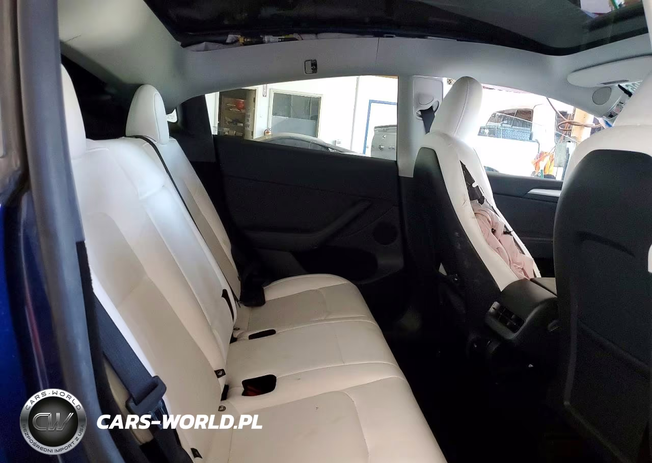 2025 Tesla Model Y VIN:7SAYGDED5SF253436 - 10