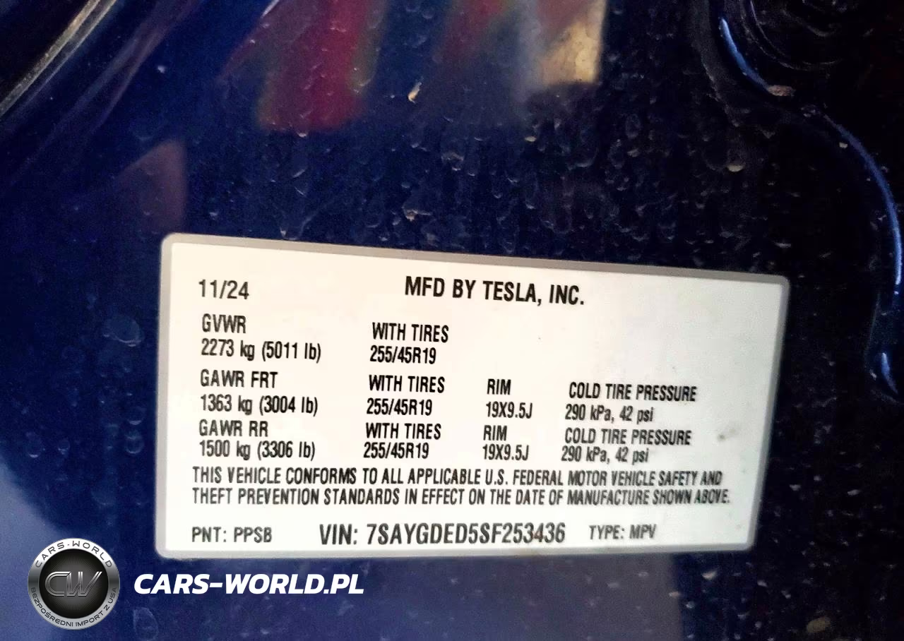 2025 Tesla Model Y VIN:7SAYGDED5SF253436 - 12